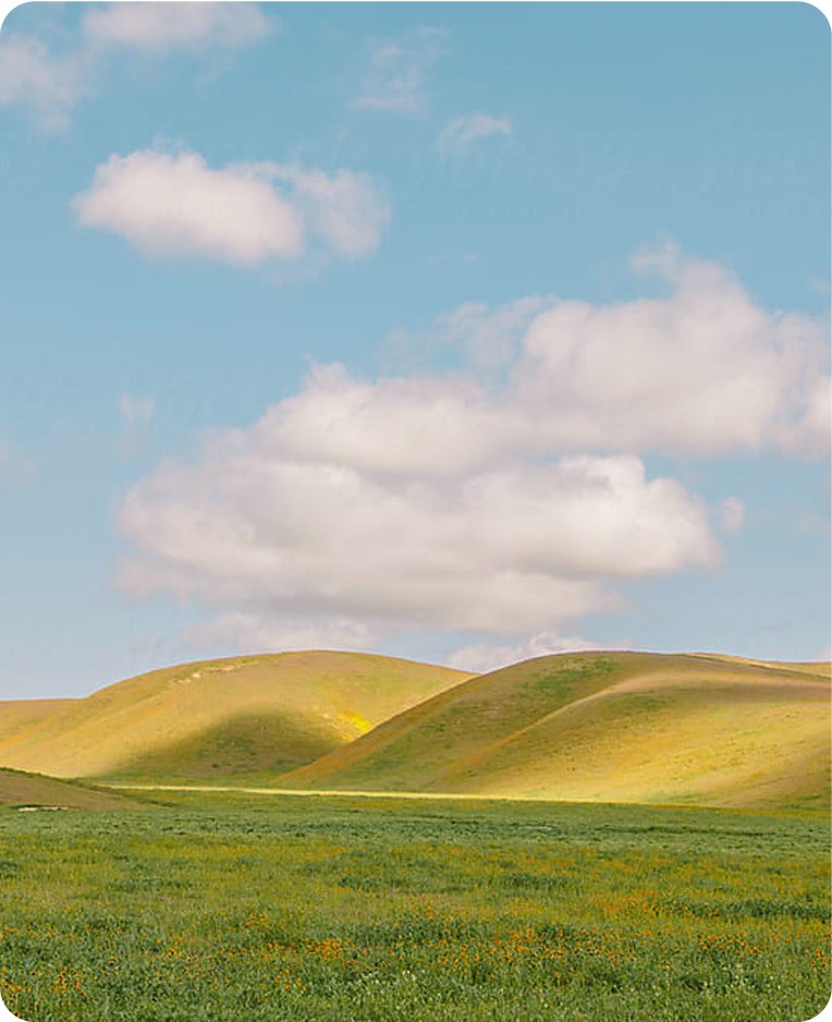 Environmental Awareness